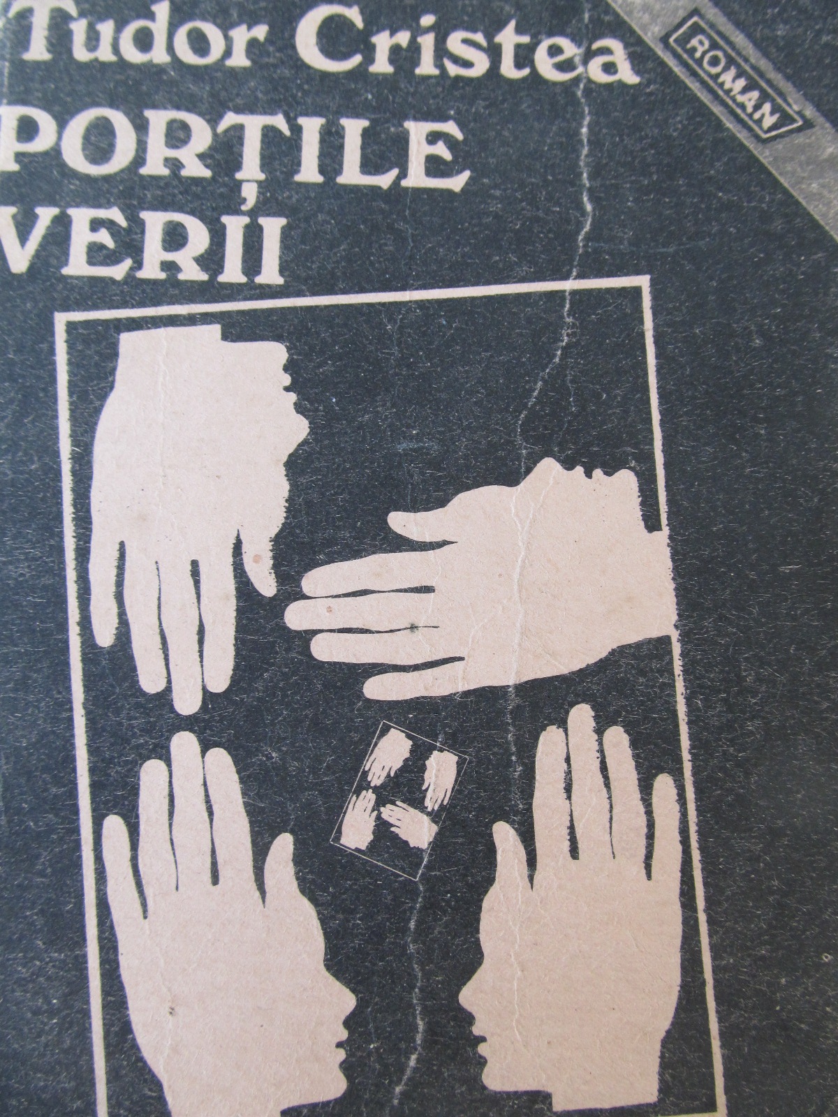 Portile verii - Tudor Cristea | Detalii carte