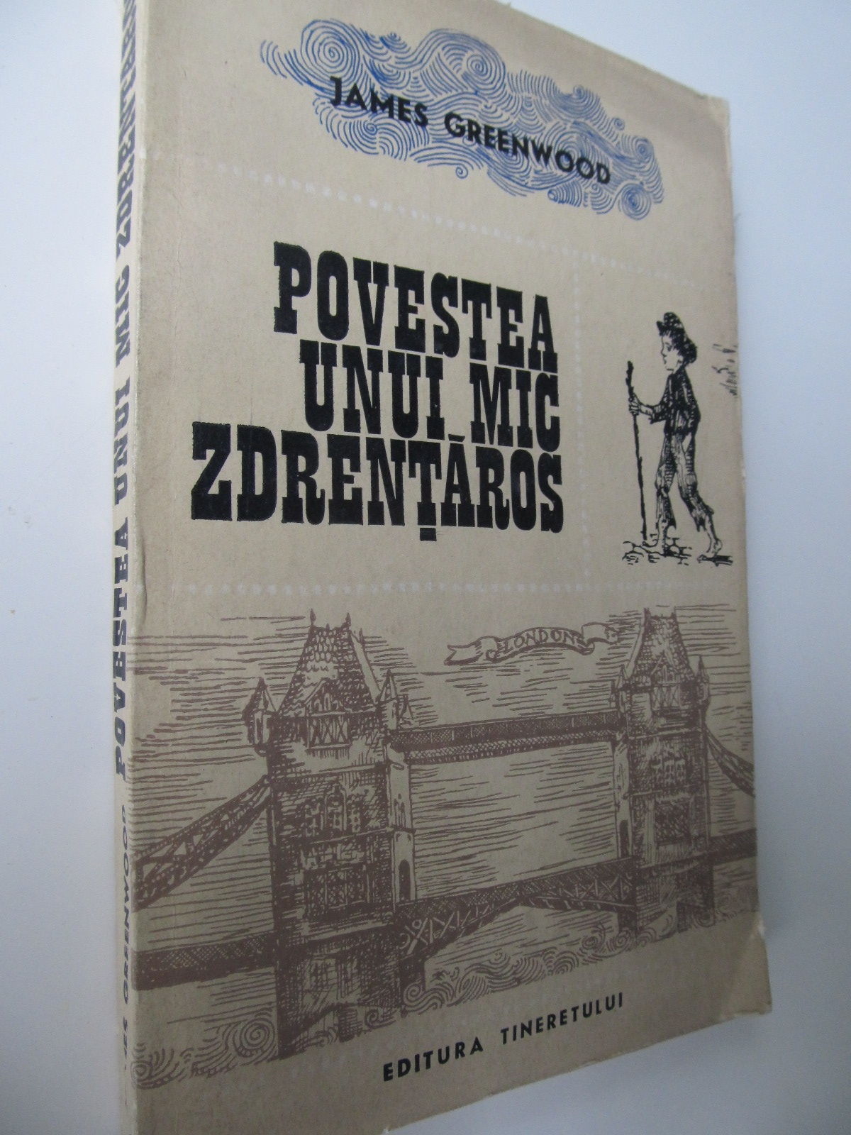 Povestea unui mic zdremtaros - James Greenwood | Detalii carte