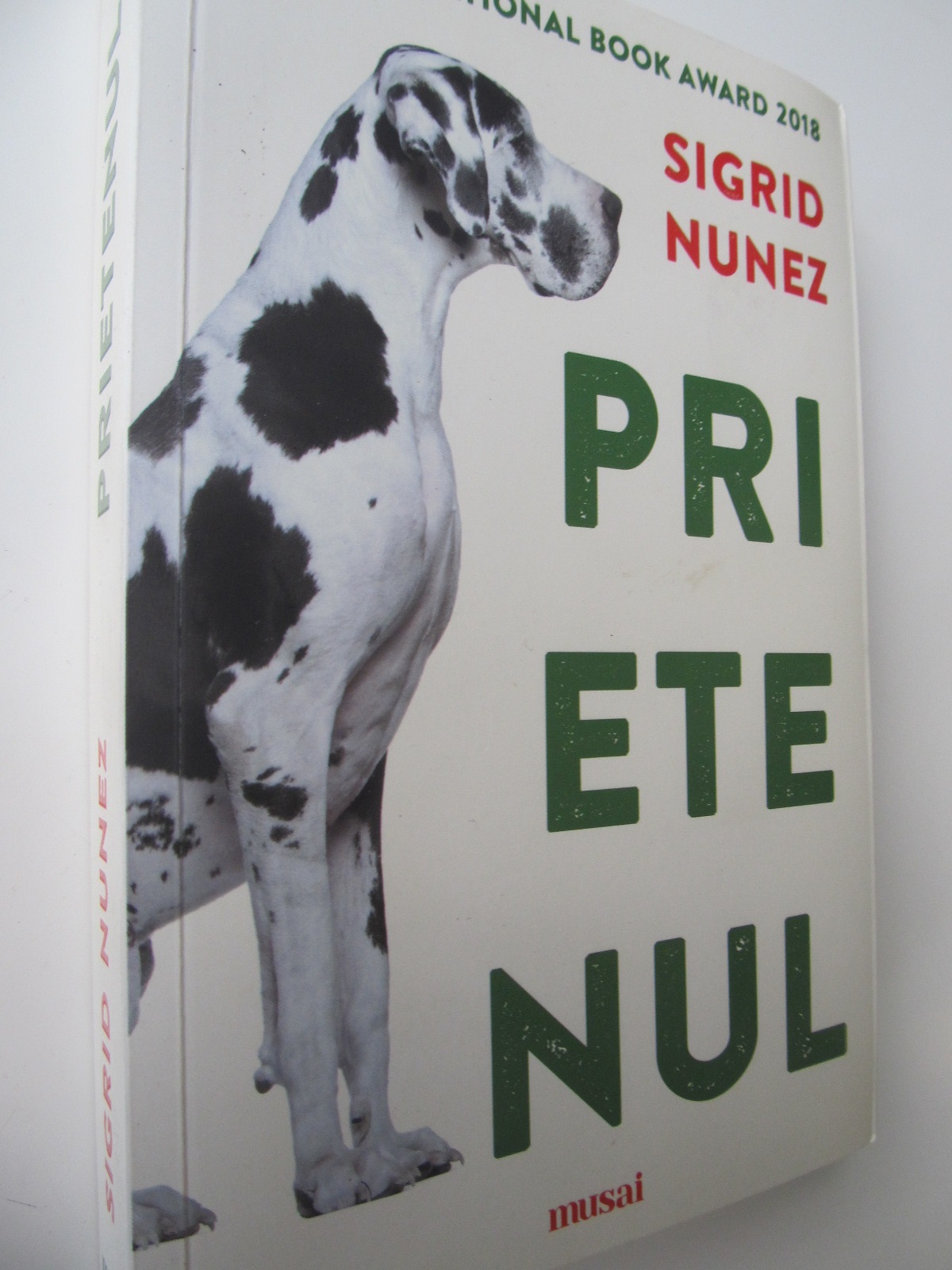 Prietenul - Sigrid Nunez | Detalii carte