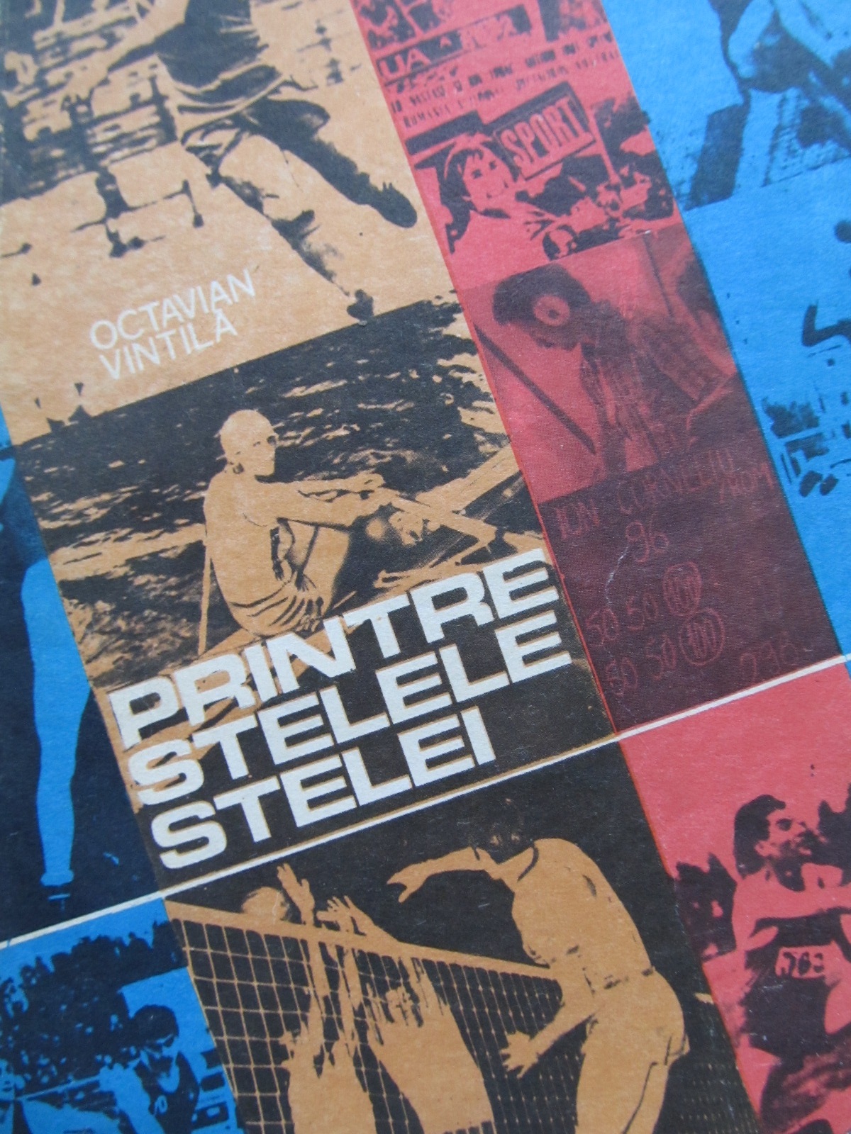 Printre stelele Stelei - Octavian Vintila | Detalii carte