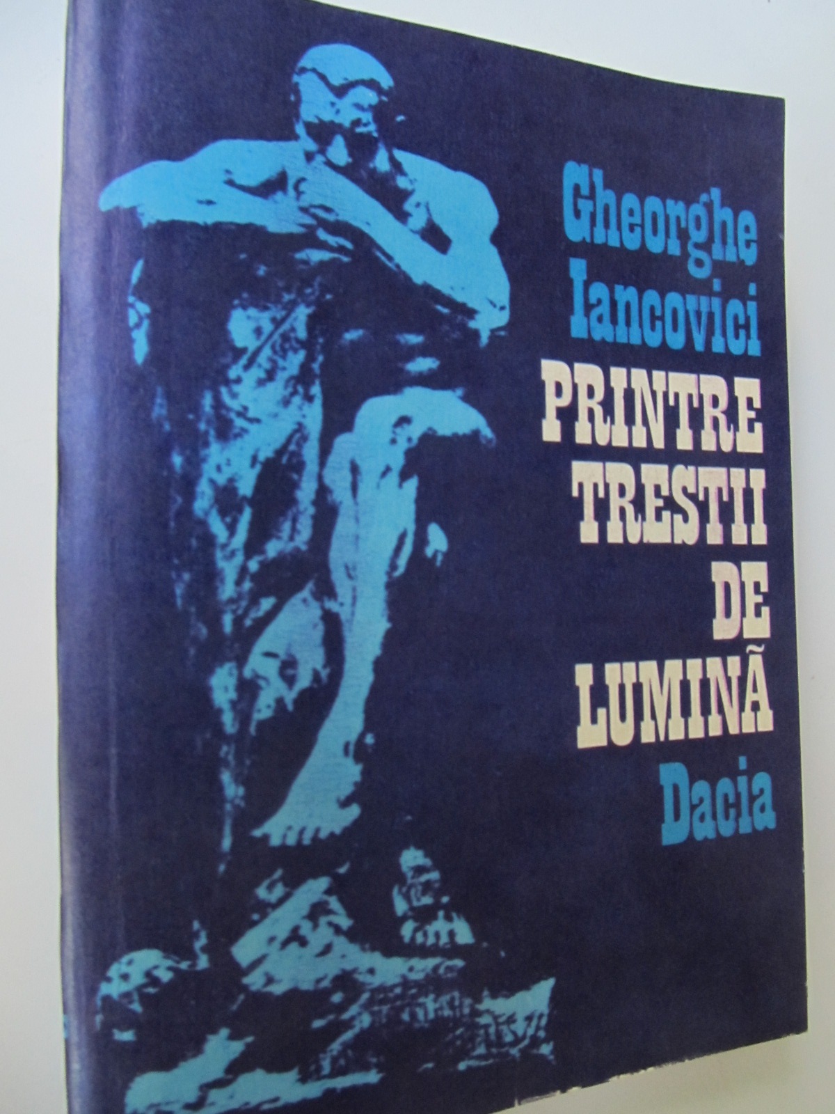 Printre trestii de lumina - Gheorghe Iancovici | Detalii carte