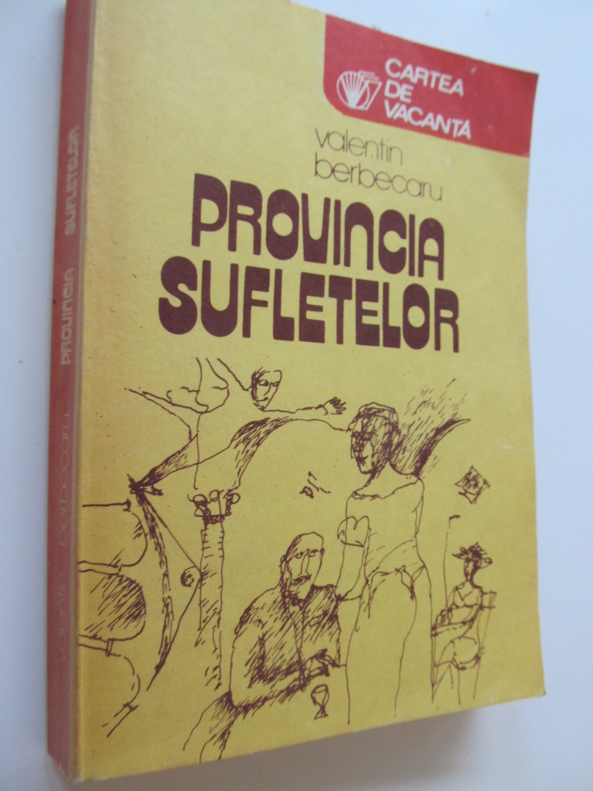 Provincia sufletelor - Valentin Berbecaru | Detalii carte