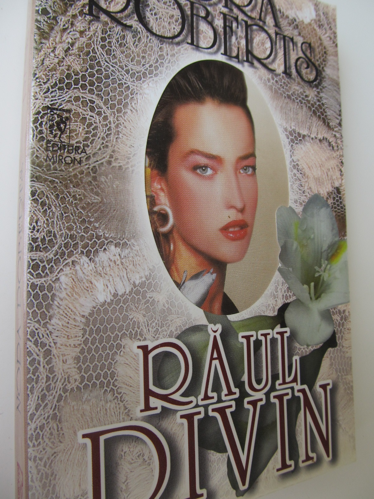Raul divin - Nora Roberts | Detalii carte