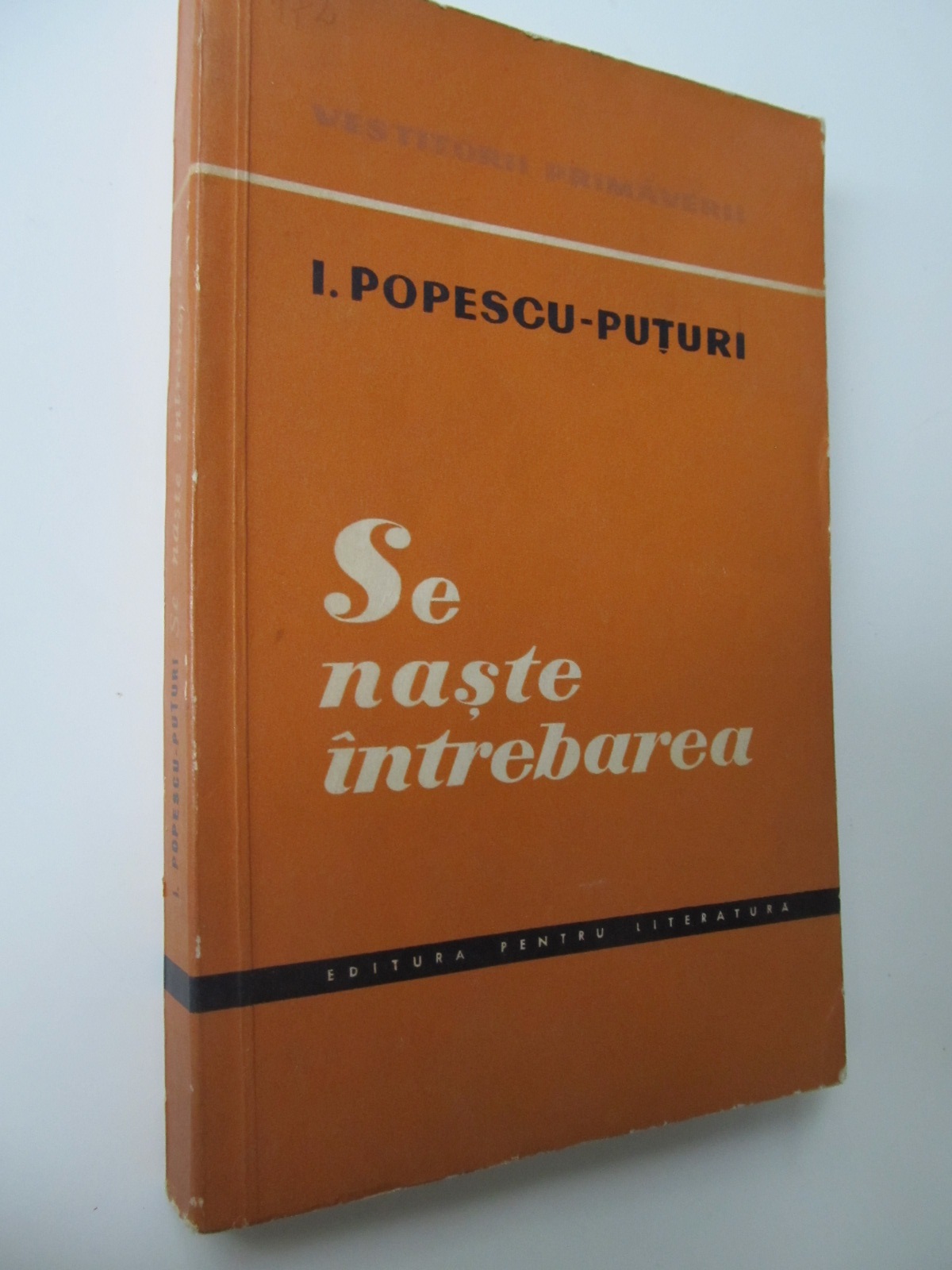 Se naste intrebarea - Ion Popescu Puturi | Detalii carte