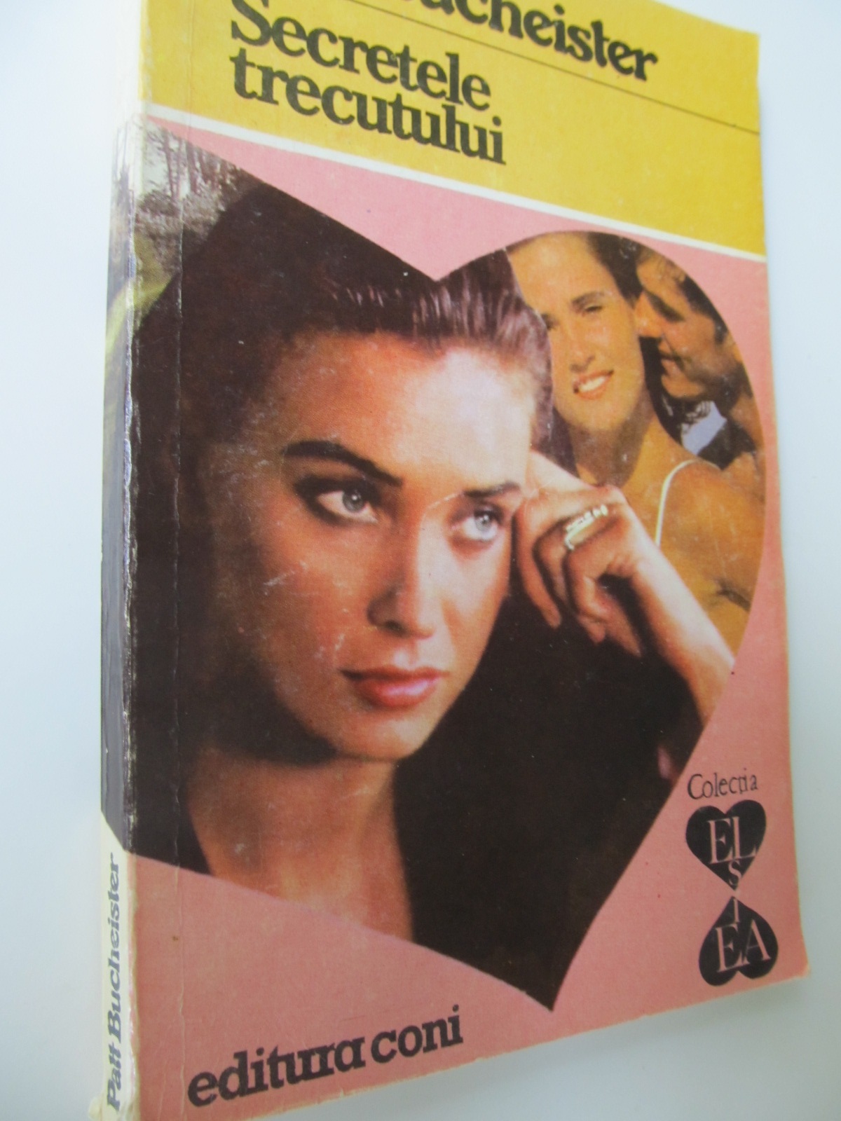 Secretele trecutului (23) - Patt Bucheister | Detalii carte