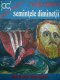 Semintele diminetii - Florin Banescu | Detalii carte