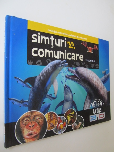 Simturi si comunicare (vol. 3) Atlas 3D - Ilona Bagoly , ... | Detalii carte