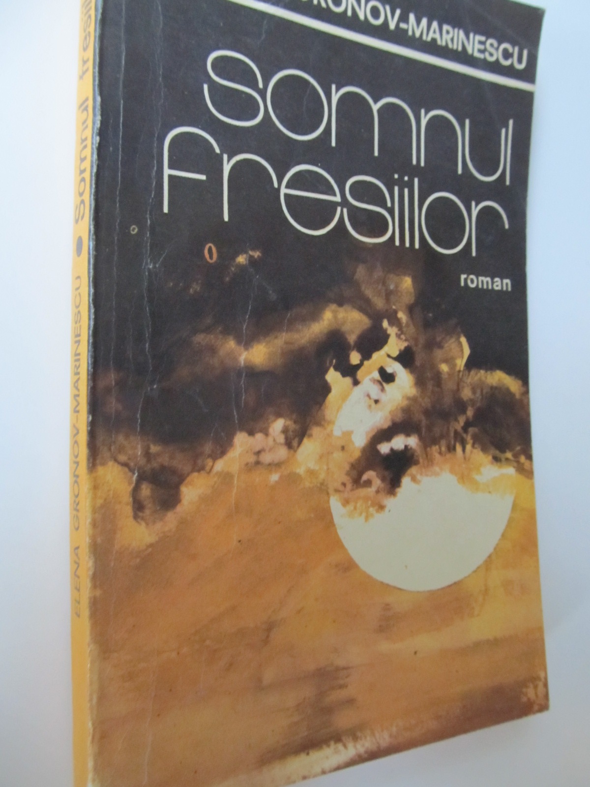 Somnul fresiilor - Elena Gronov Marinescu | Detalii carte