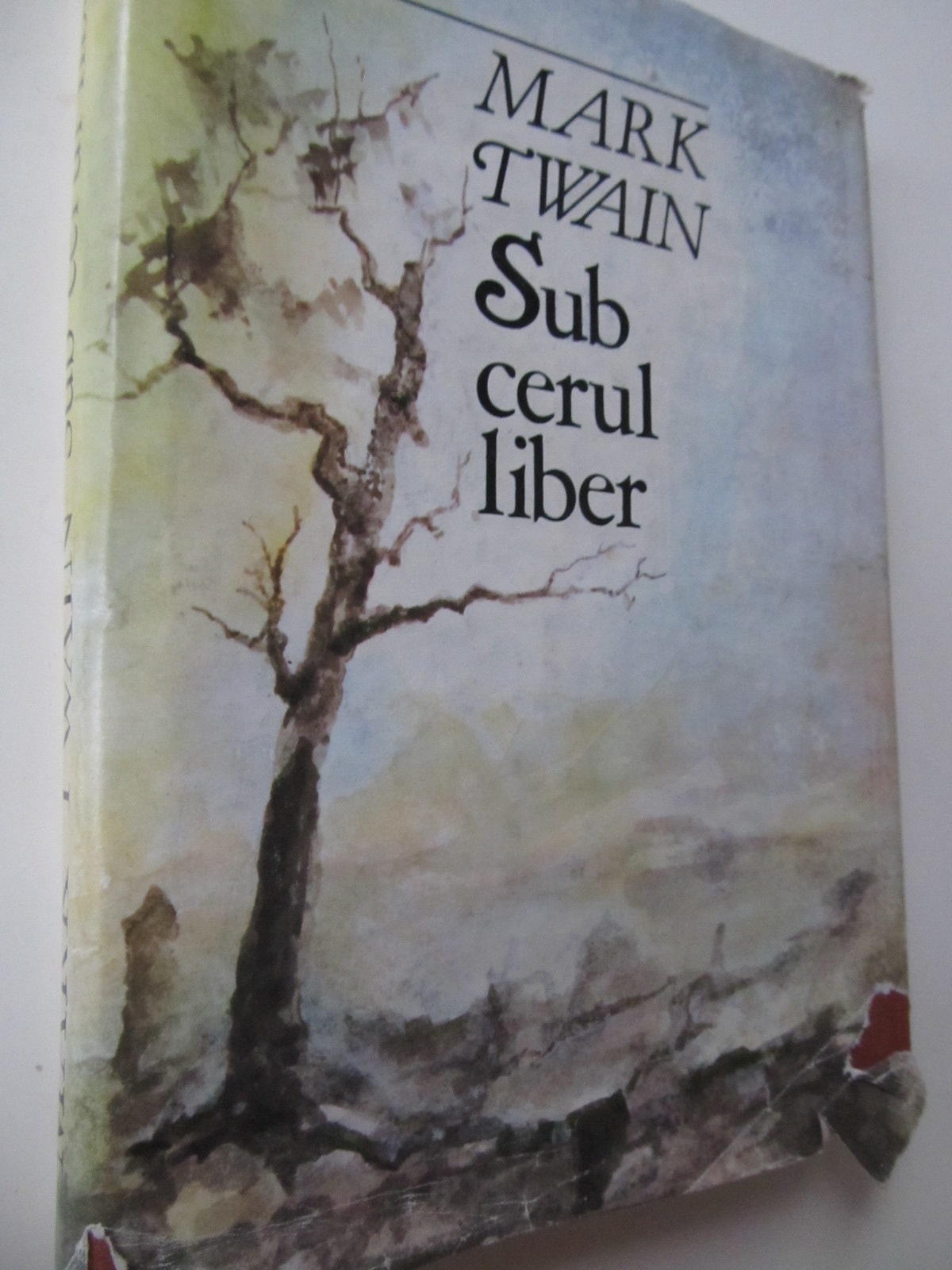 Sub cerul liber - Mark Twain | Detalii carte