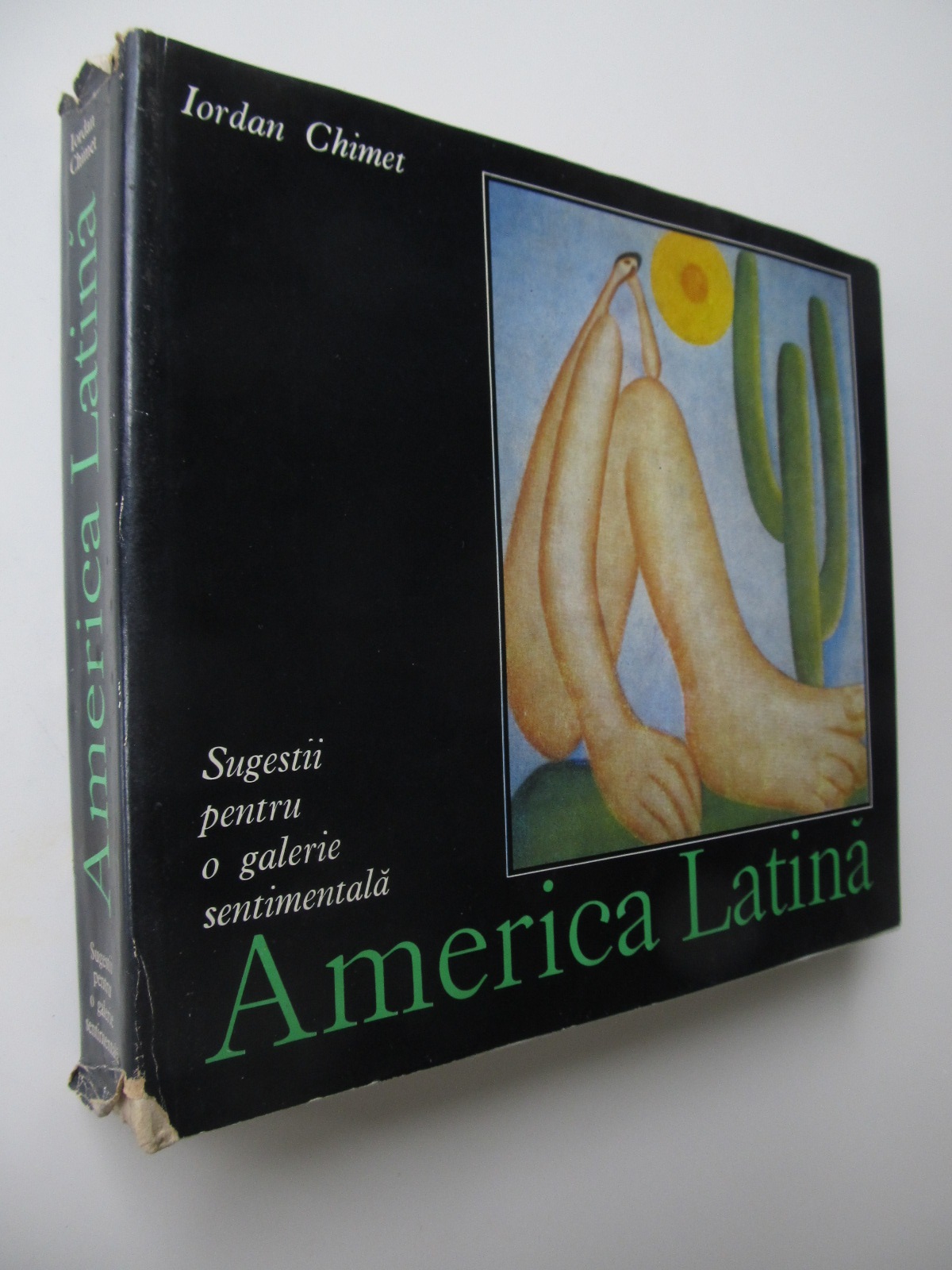 Sugestii pentru o galerie sentimentala America latina - Iordan Chimet | Detalii carte