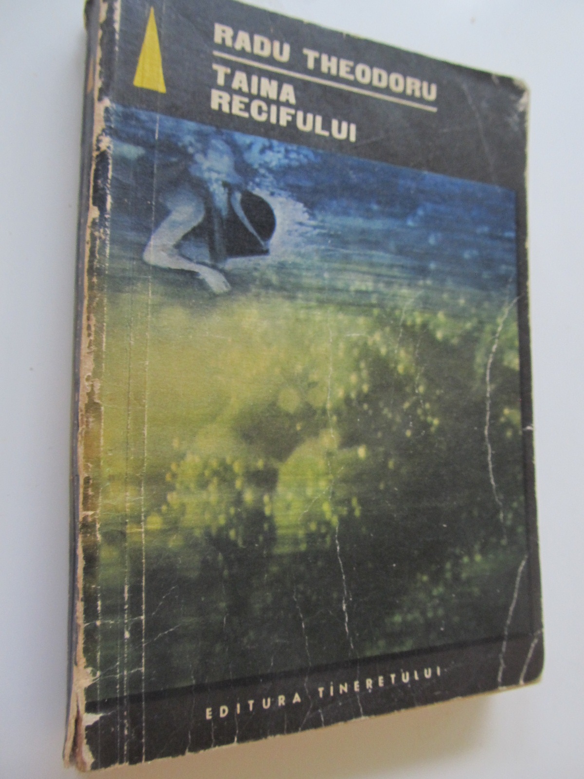 Taina recifului - Radu Theodoru | Detalii carte