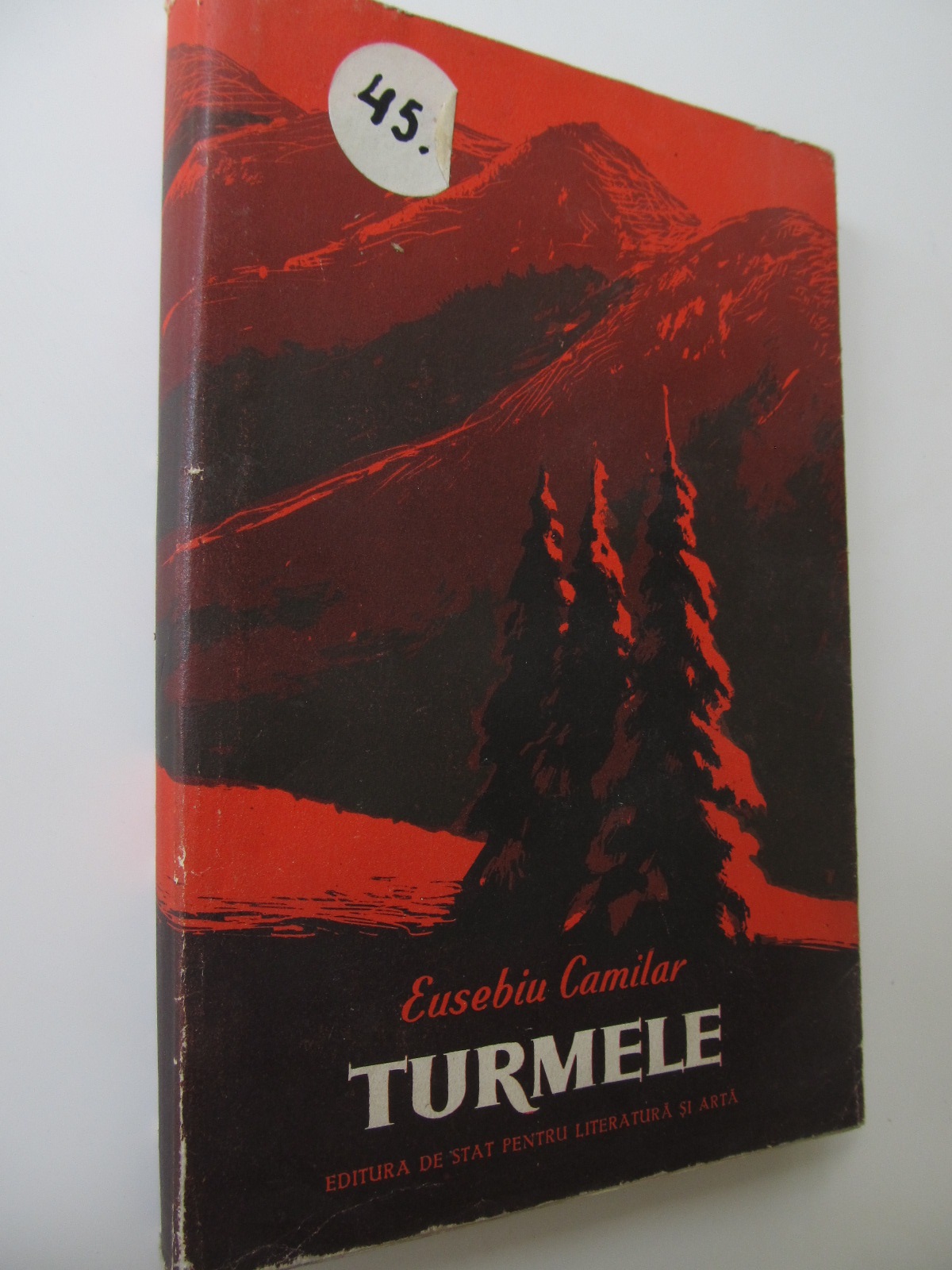 Turmele - Eusebiu Camilar | Detalii carte