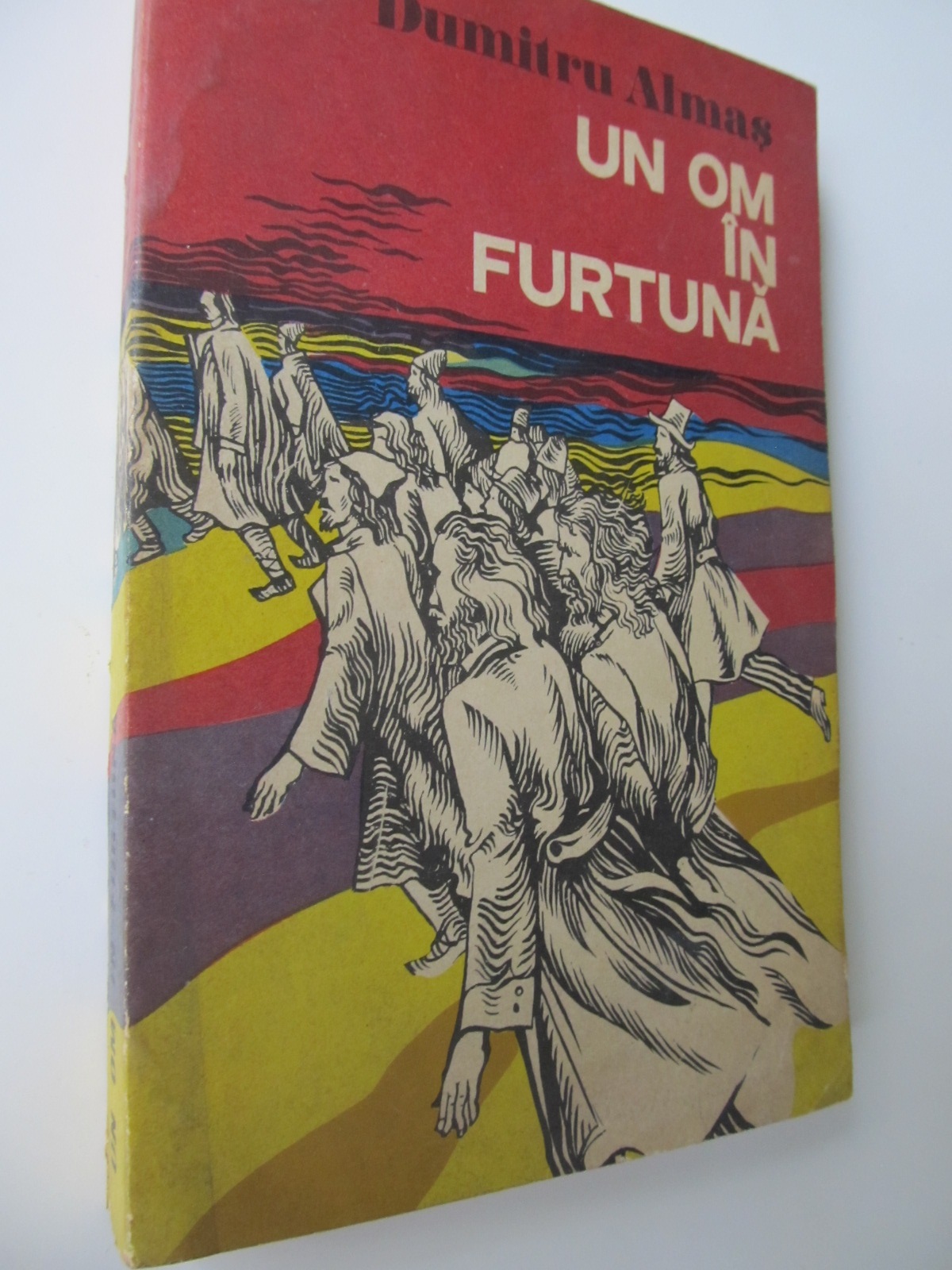 Un om in furtuna - Dumitru Almas | Detalii carte