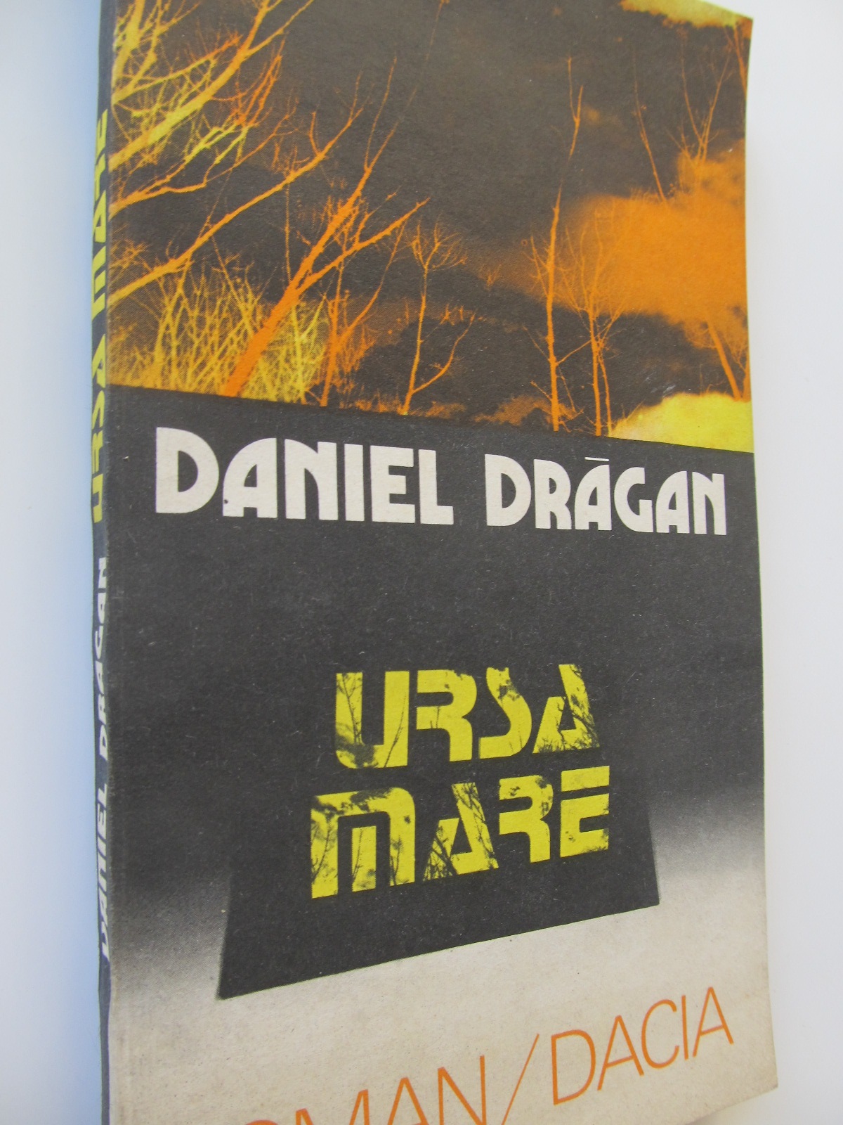 Ursa Mare - Daniel Dragan | Detalii carte
