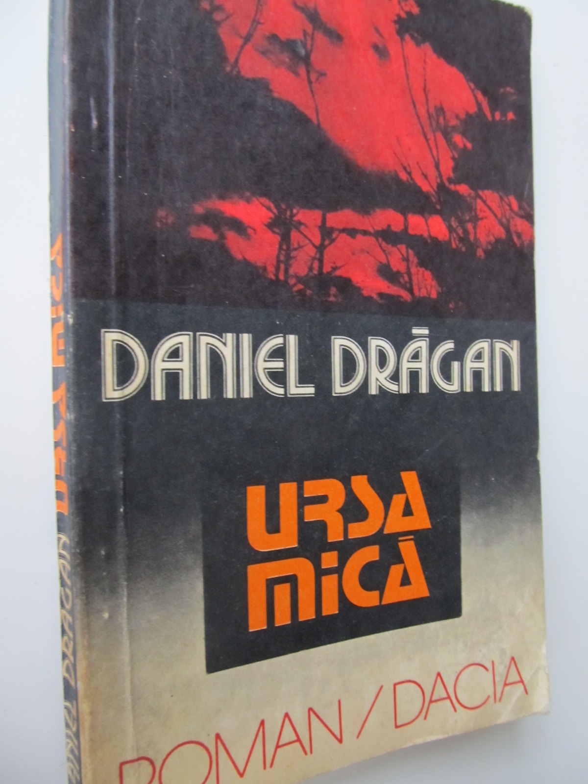 Ursa mica - Daniel Dragan | Detalii carte