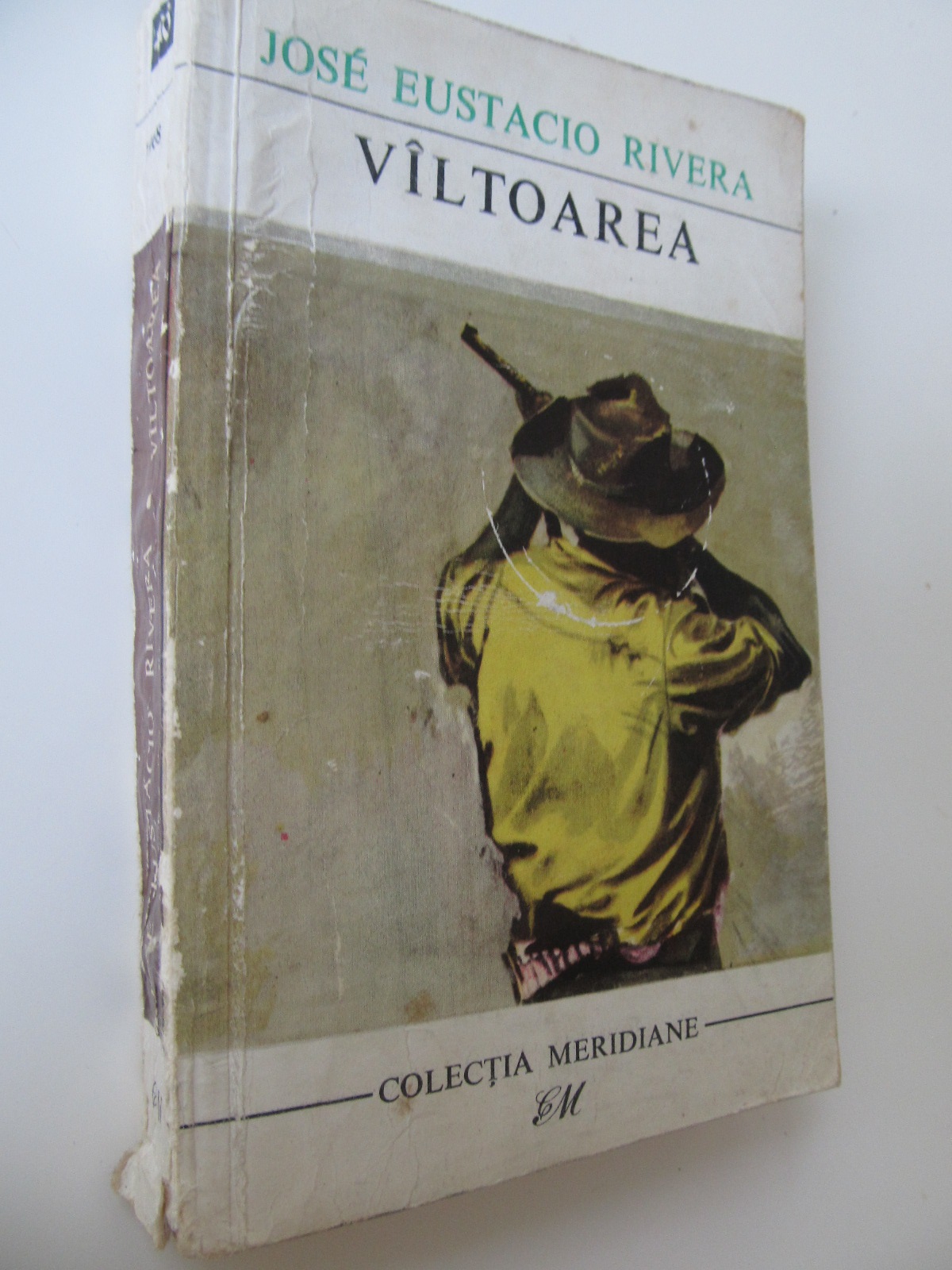 Valtoarea - Jose Eustacio Rivera | Detalii carte